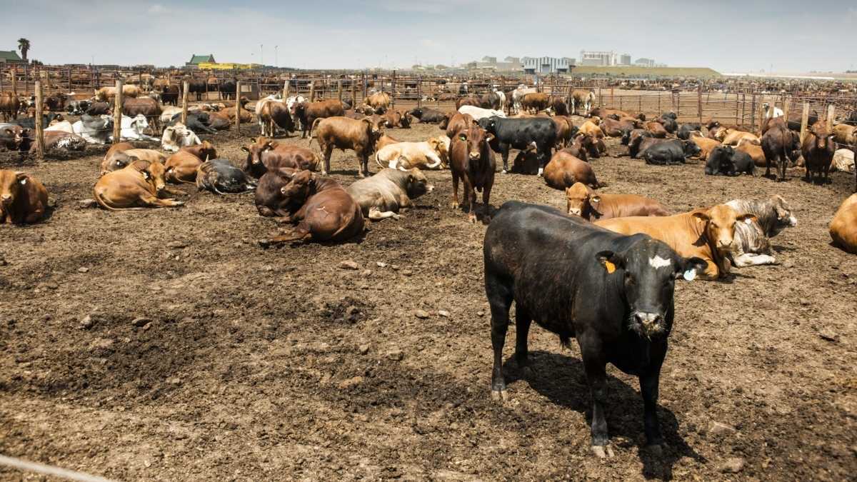 ????? ?? ????? ????? ?? ????????? ???? ???????